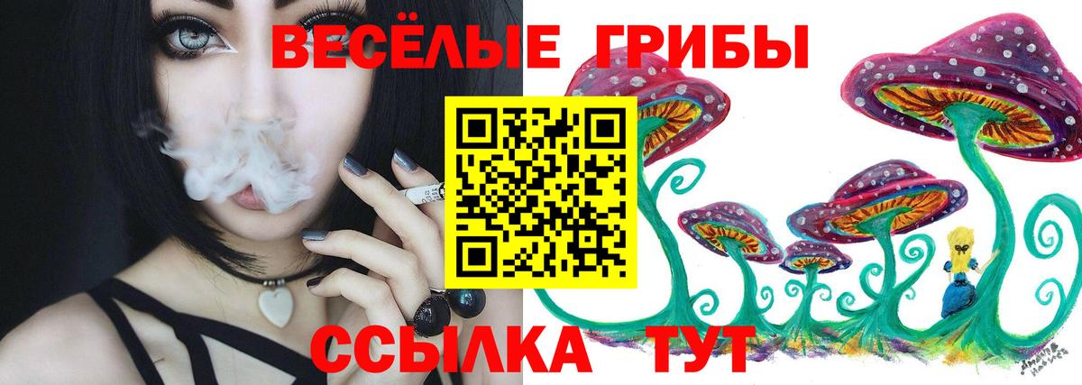 Гатчина  Галлюциногенные грибы GOLDEN TEACHER  наркотики  Вход с VPN 